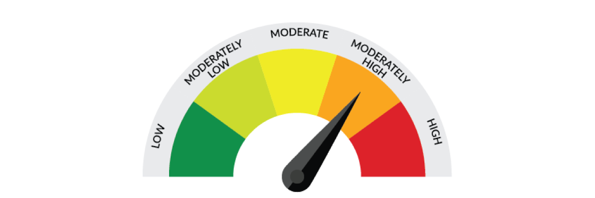 Risk Profile