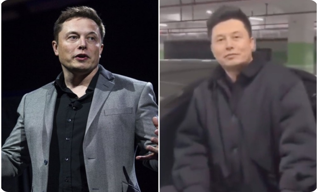 Fake Elon Musk