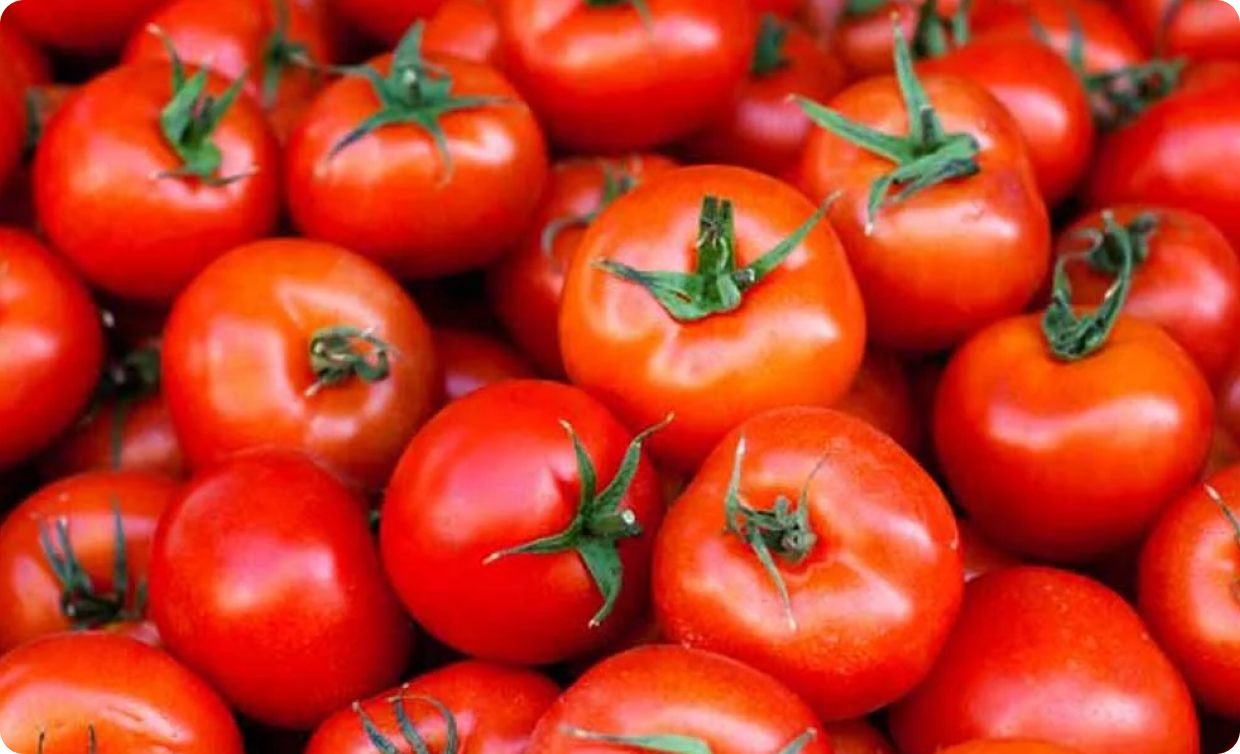 Tomatoes More Expensive Than Gasoline